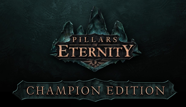 pillars of eternity hero edition vs champion edition pillars of eternity hero edition vs champion edition