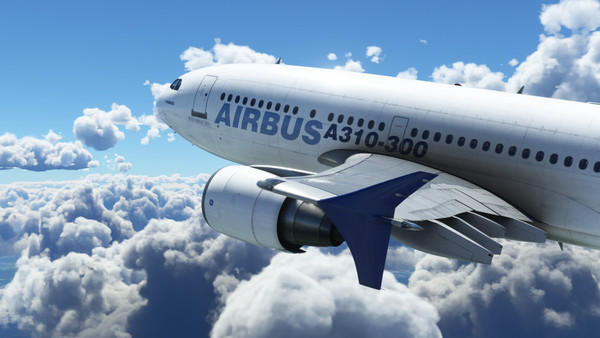 Microsoft Flight Simulator 40th Anniversary Edition (PC / Xbox Series X|S) screenshot 1