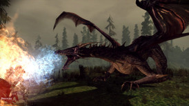 Dragon Age: Origins screenshot 3