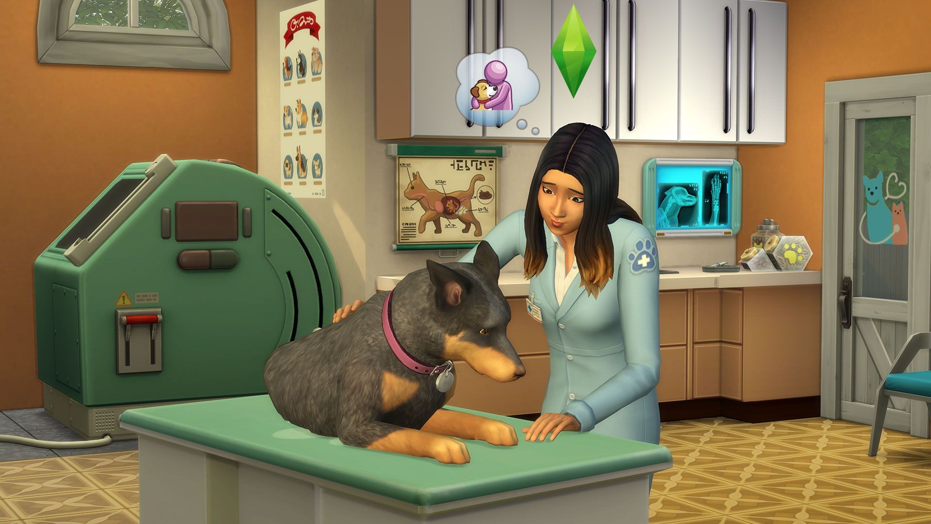 sims 4 cats and dogs free download