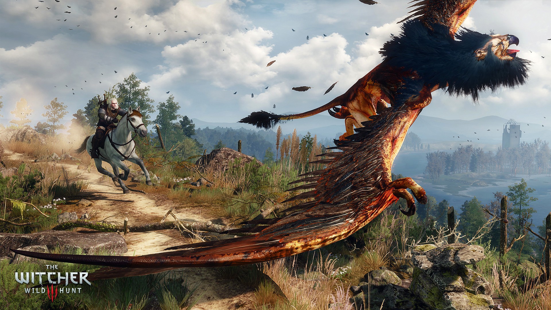 witcher 3 gameplay options