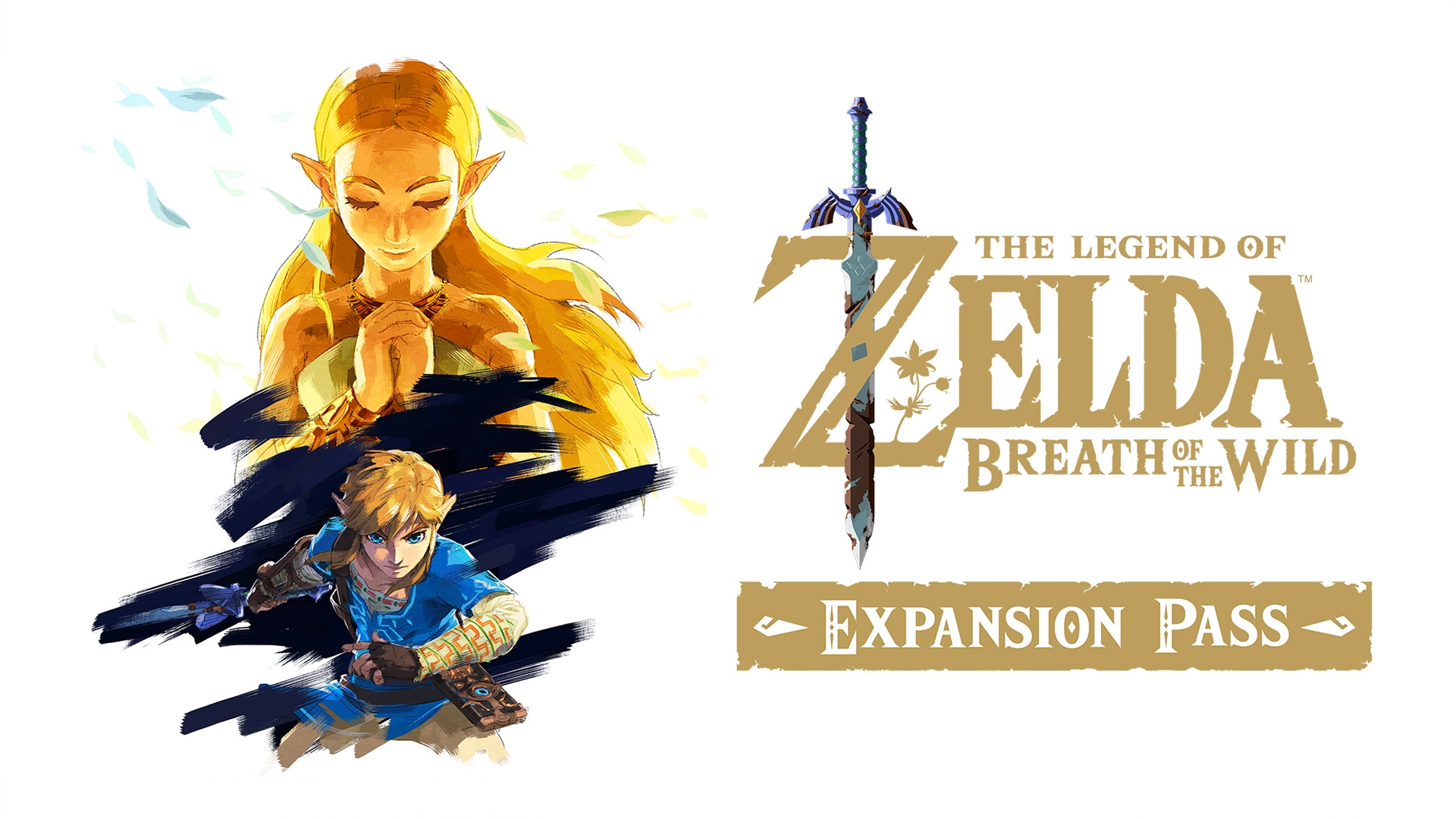 the Wild Expansion Pass Switch Nintendo