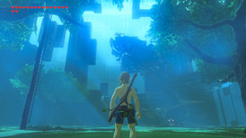 The Legend of Zelda: Breath of the Wild Expansion Pass Switch screenshot 3