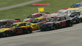 NASCAR 14 screenshot 5