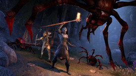 The Elder Scrolls Online: Summerset Collector's Edition Upgrade screenshot 5