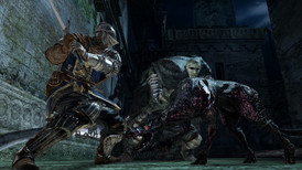 Dark Souls 2 Bundle screenshot 2