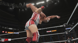 WWE 2K18 - New Moves Pack screenshot 4