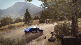 DiRT Rally screenshot 2