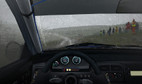 DiRT Rally screenshot 3