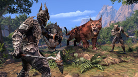 The Elder Scrolls Online Elsweyr (Xbox ONE / Xbox Series X|S) screenshot 5