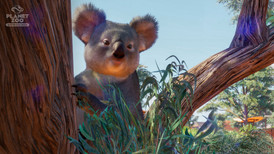 Planet Zoo: Australia Pack screenshot 3
