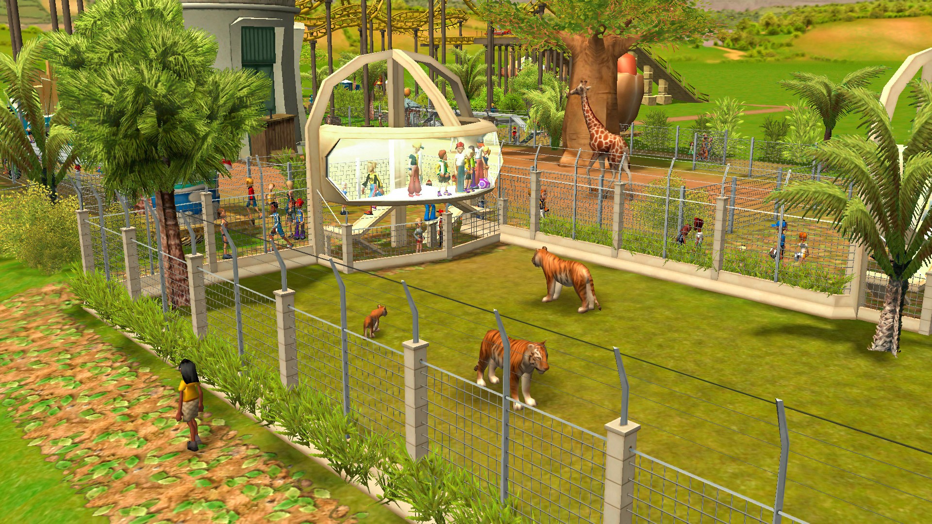 zoo tycoon 3 pc release