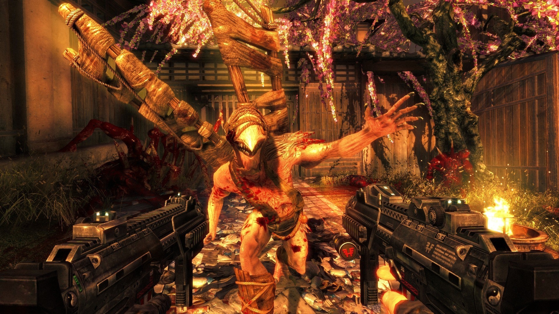 Shadow Warrior - 