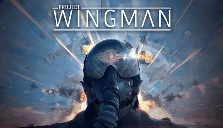 Project Wingman background