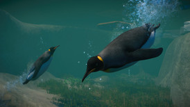 Planet Zoo: Aquatic Pack screenshot 3