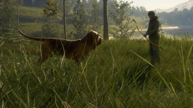 TheHunter: Call of the Wild - Bloodhound screenshot 3