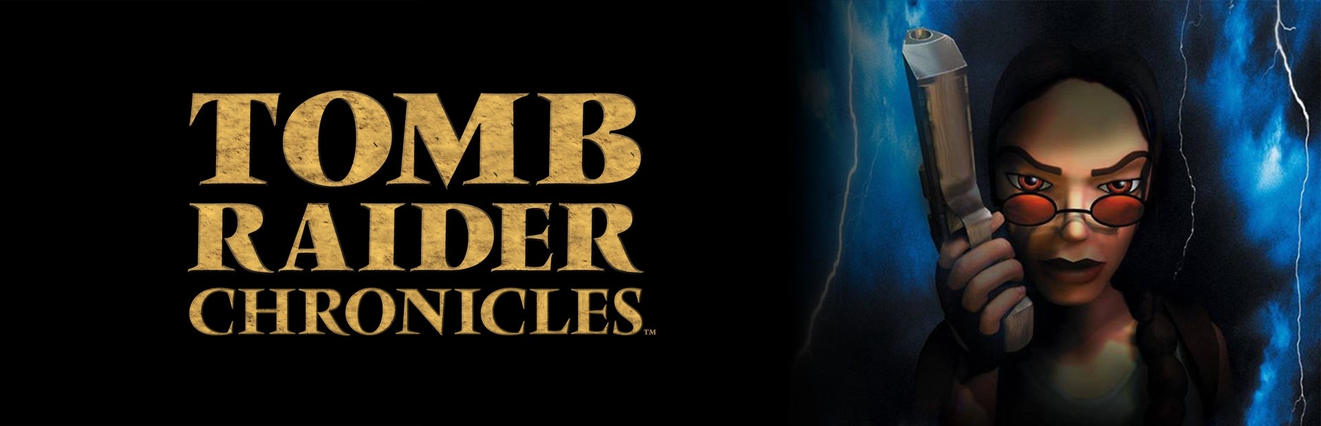 Banner Tomb Raider V: Chronicles