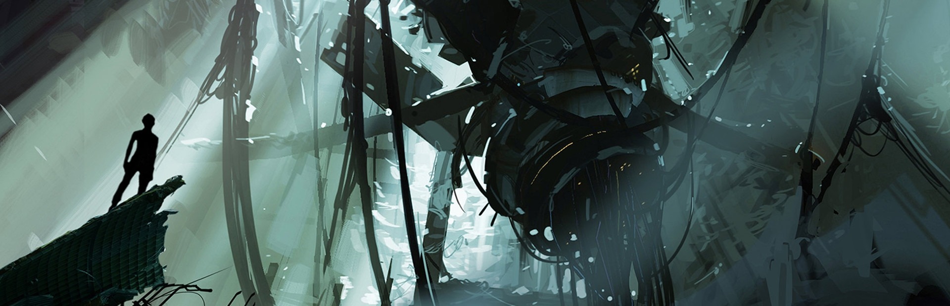 Banner Portal 2