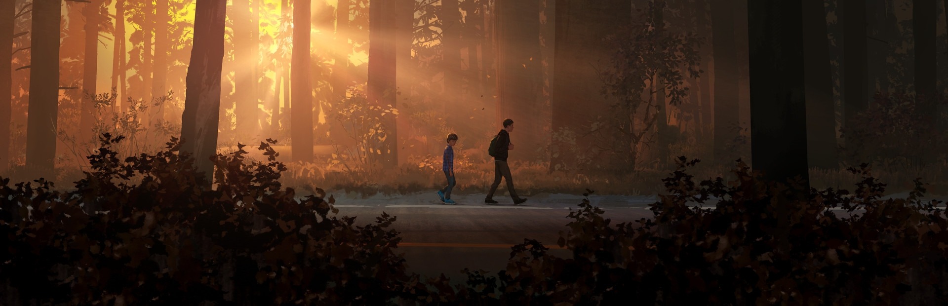 Banner Life is Strange 2 Complete Season