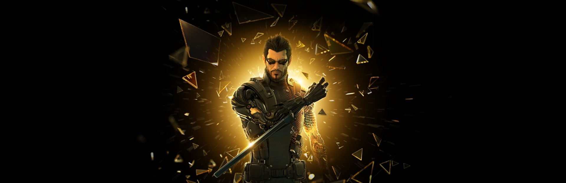 Banner Deus Ex: Human Revolution - Director's Cut