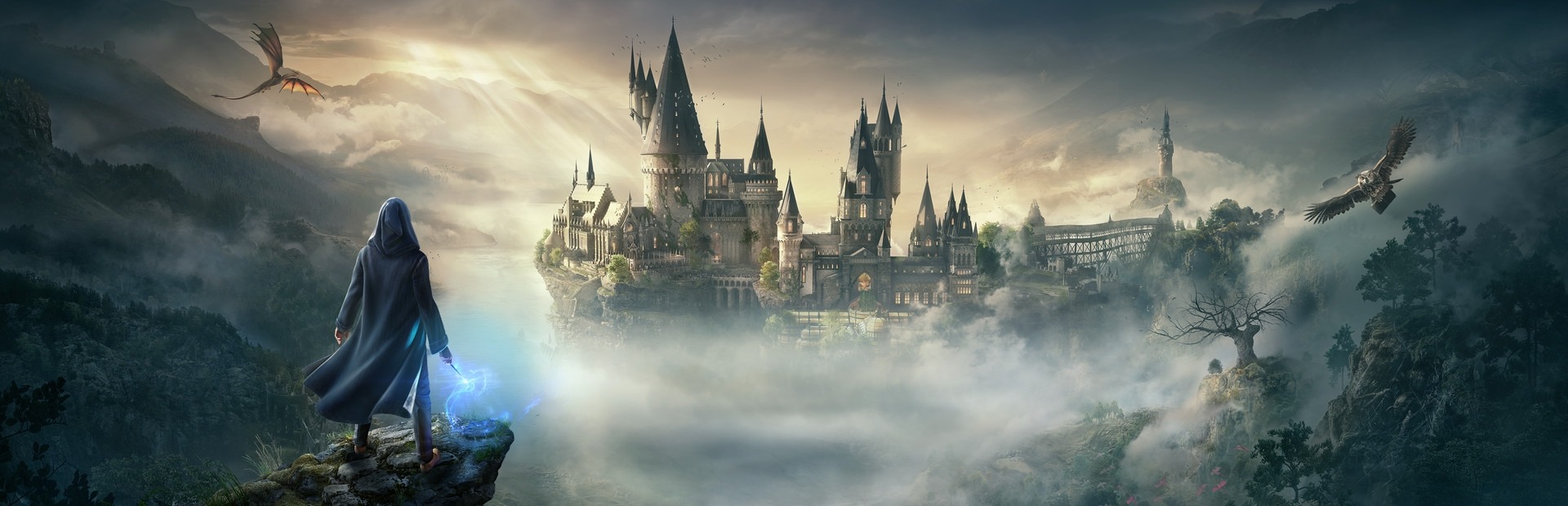 Banner Hogwarts Legacy Deluxe Edition