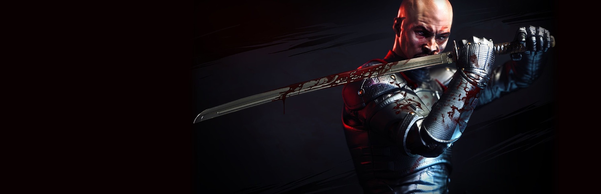 Banner Shadow Warrior